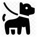 Dog Leash Pet Animal Icon
