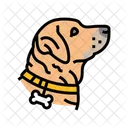 Name Tag Dog Icon