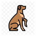 Obedience Training Dog Icon