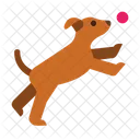 Dog Park  Symbol