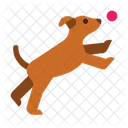 Dog Park Dog Dog Training Icon