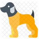 Dog Pet  Icon