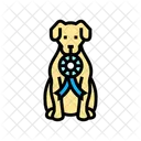 Ribbon Dog Competition Icon