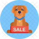 Dog Sale Pet Dog Icon
