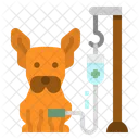 Dog Saline Icon