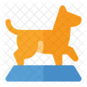 Dog Show  Icon