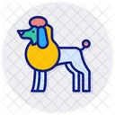Dog Show  アイコン