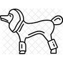 Asset アイコン