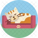 Sleeping Kitten Cat Icon