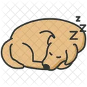Dog Sleeping Icon