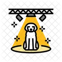 犬のスポットライト  アイコン