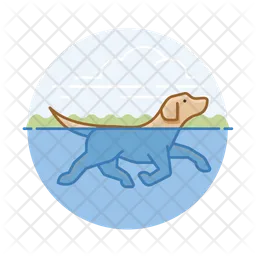 Dog Swimming  Icon