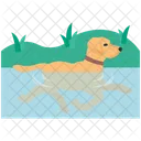 Dog Swimming Swimming Bathing Icon
