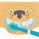 Dog Teeth Brushing Hygiene Dog Icon