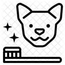 Dog Teeth  Icon