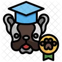 Dog Training  Icon