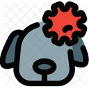 Dog Virus Dog Virus Icon