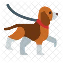 Dog Walking  Icon