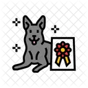 Winner Dog Competition Icon