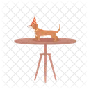Dog with party cone on table  Icon