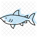 Dogfish Ocean Marine Icon