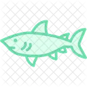 Dogfish Ocean Marine Icon