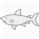 Dogfish Ocean Marine Icon