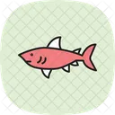 Dogfish Ocean Marine Icon