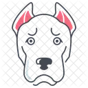 Dogo argentino  Ícone