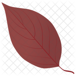 Dogwood In Fall Icon
