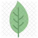 Dogwood leaf  Icon