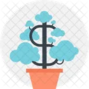 Dollar Expand Flower Icon