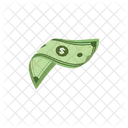Dollar Cash Icons Illustrations Icône