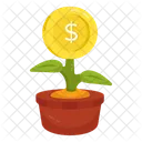 Dollar Plant Money Plant Money Growth Icon