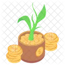 Dollar Plant Money Plant Money Growth Icon