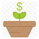 Dollar Plant Money Plant Investment Growth Icon