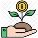 Dollar Plant  Icon