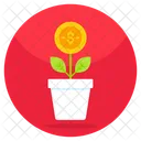 Dollar Plant  Icône