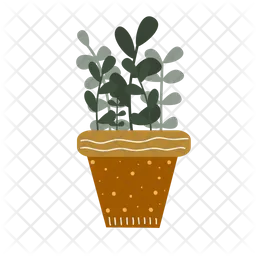 Dollar plant  Icon