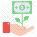 Dollar Plant Care  Icon