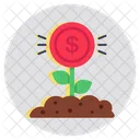 Dollar Plant Money Growth Financial Growth Icon