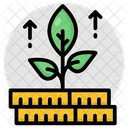 Dollar Plant Money Plant Money Growth Icon