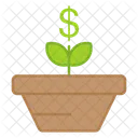 Dollar Plant Money Plant Investment Growth Icon