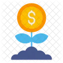 Dollarpflanze  Symbol