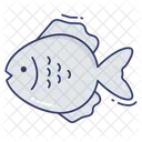 Dolly Fish Seafood Sealife Icon