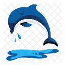 Dolphin Fish Dolphin Sea Animal Icon