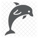 Dolphin Animal Aquatic Icon
