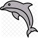 Dolphin Animal Sea Icon