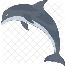 Dolphin  Icon