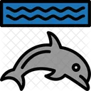 Dolphin Marine Mammal Sea Icon